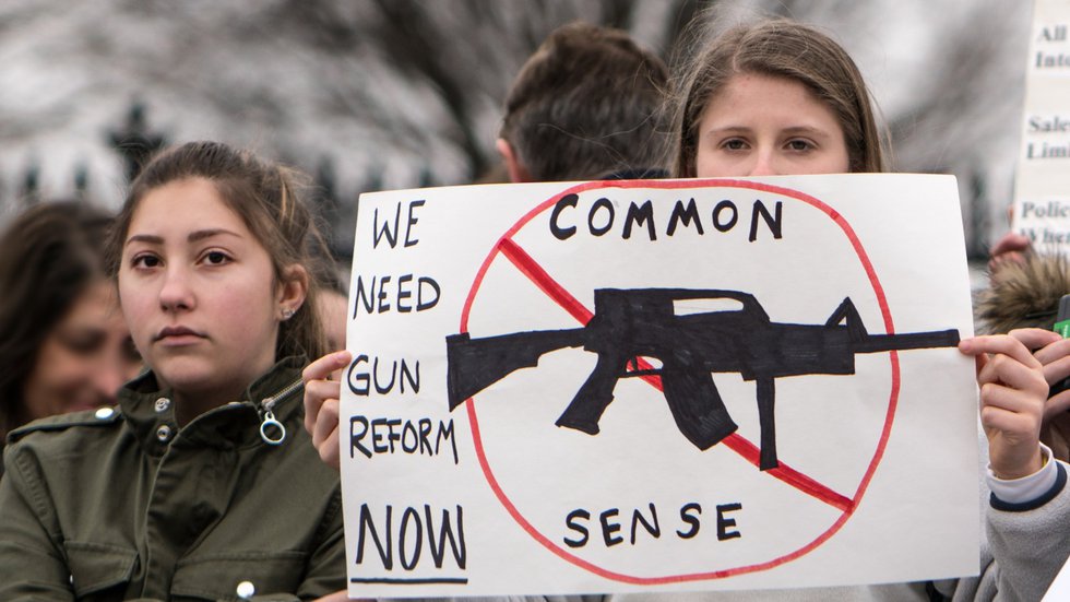common sense guns.jpg