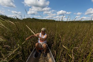 Going Native: The Scent of Racism 