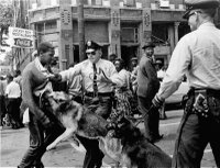 manifestante-derechos-perro-policía-reacción-Alabama-Birmingham-mayo-3-1963.jpg