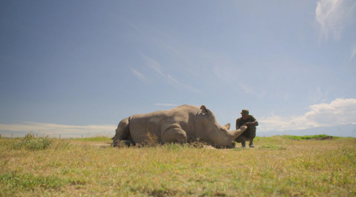 How We Can Put a Halt to Biodiversity Loss - Progressive.org