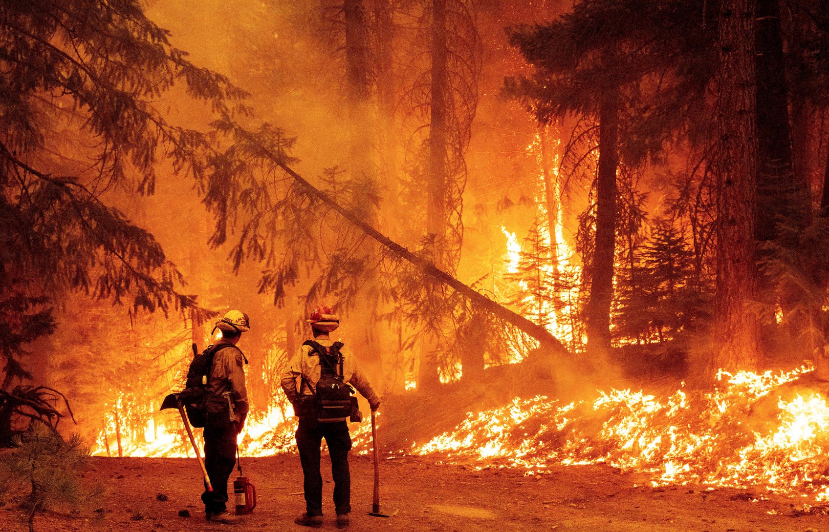 North America faces 'exceptional' change in wildfire catastrophe exposure:  Chaucer's Foley :: Insurance Day