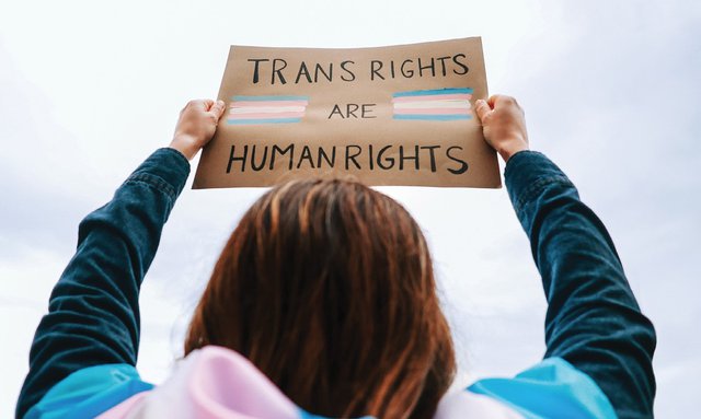 Trans_Rights.jpg