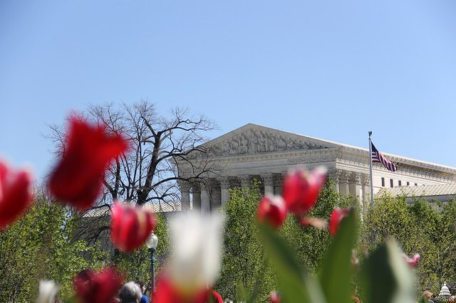 Flickr_-_USCapitol_-_U.S._Supreme_Court_in_Spring.jpg