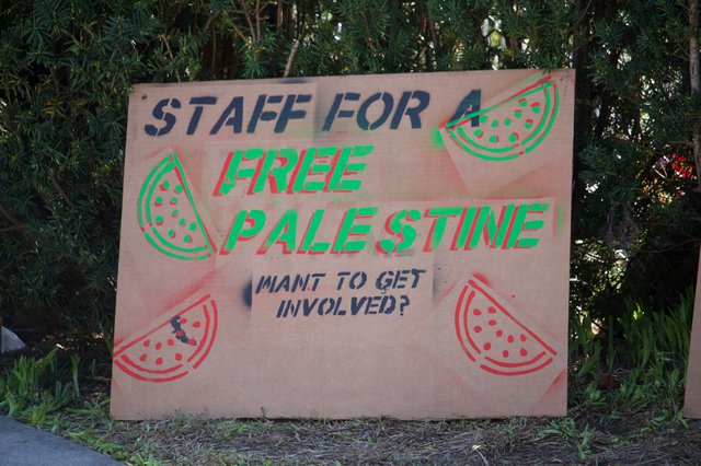 staff for a free palestine.jpg