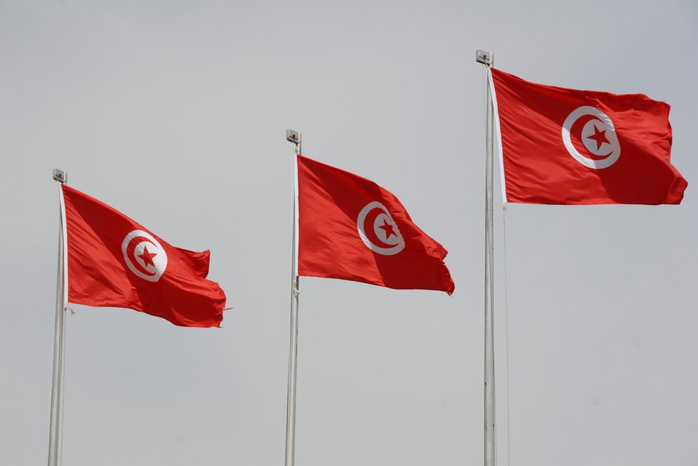 tunisian flags.jpg.jpe