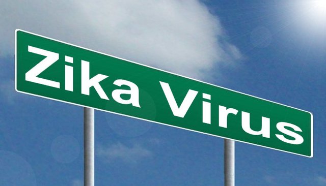 zika-virus.jpg.jpe